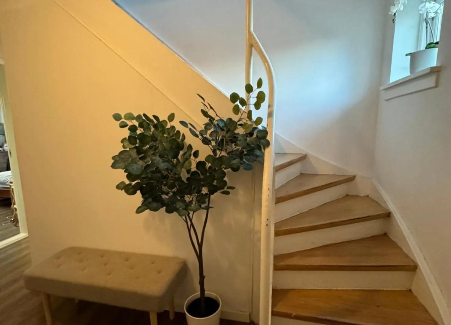 Homestay Casa De Rainer Copenhagen Room 7